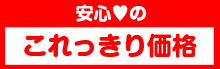 これっきり価格